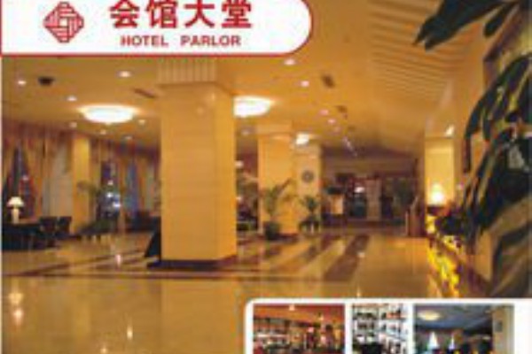 合肥茶界新潮流：高端工作室引领品味新高度